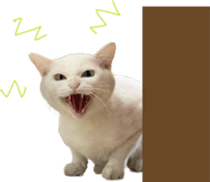 663402798