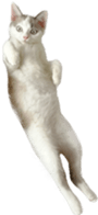 663402820