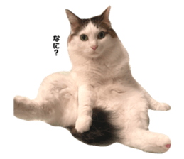 663408630