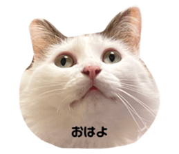 663408631