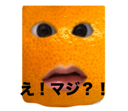 663408895