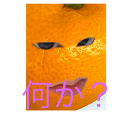 663408896