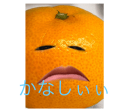 663408897