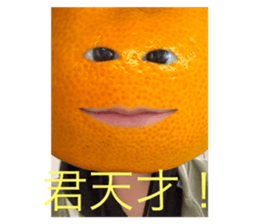 663408898