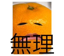 663408900