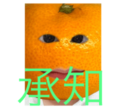 663408903