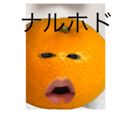 663408905