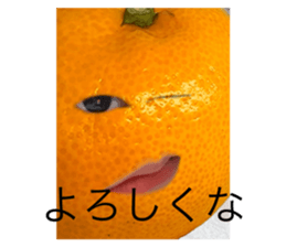 663408907