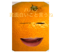 663408909