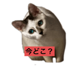 663415850