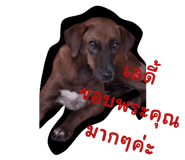 663472554