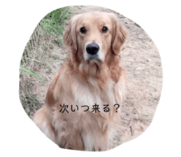663498994