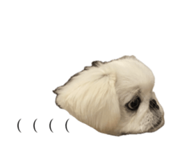 663500251