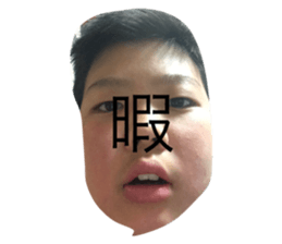 663534125