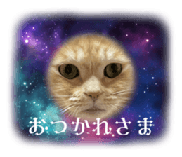 663534258