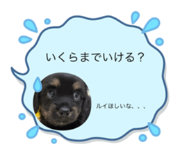 663547213