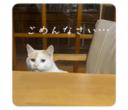 663562135
