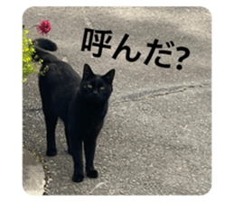 663562148