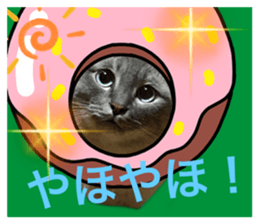 663569822