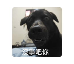 663580547