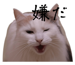 663582653