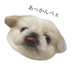 663585184
