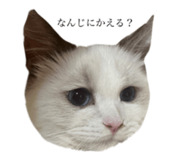 663585186