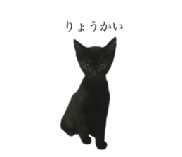 663585189