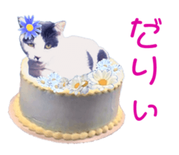 663586843