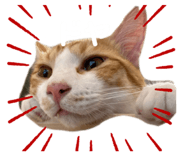 663589180