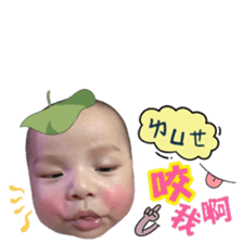 66358936