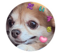 663590366