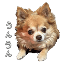 663590373