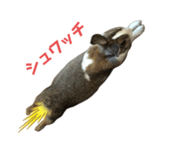 663590494