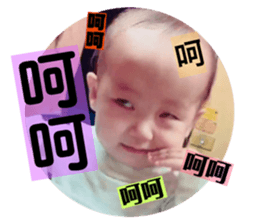 66359378