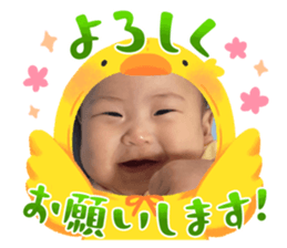 663604316