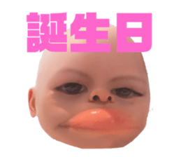 663648358