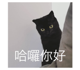663656331