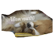 66366227