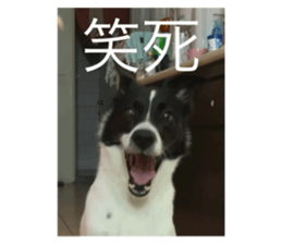 663677150