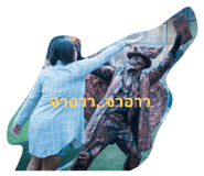 66367785