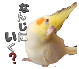 663686384