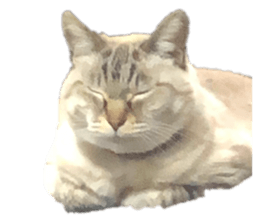 663730568