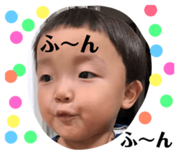 66373540