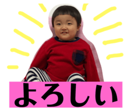 66373550