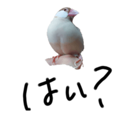 663785967