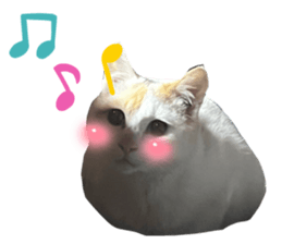 663795900