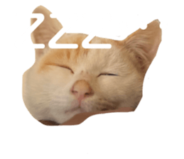 663795901