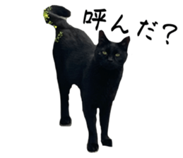 663795906