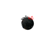 663835344
